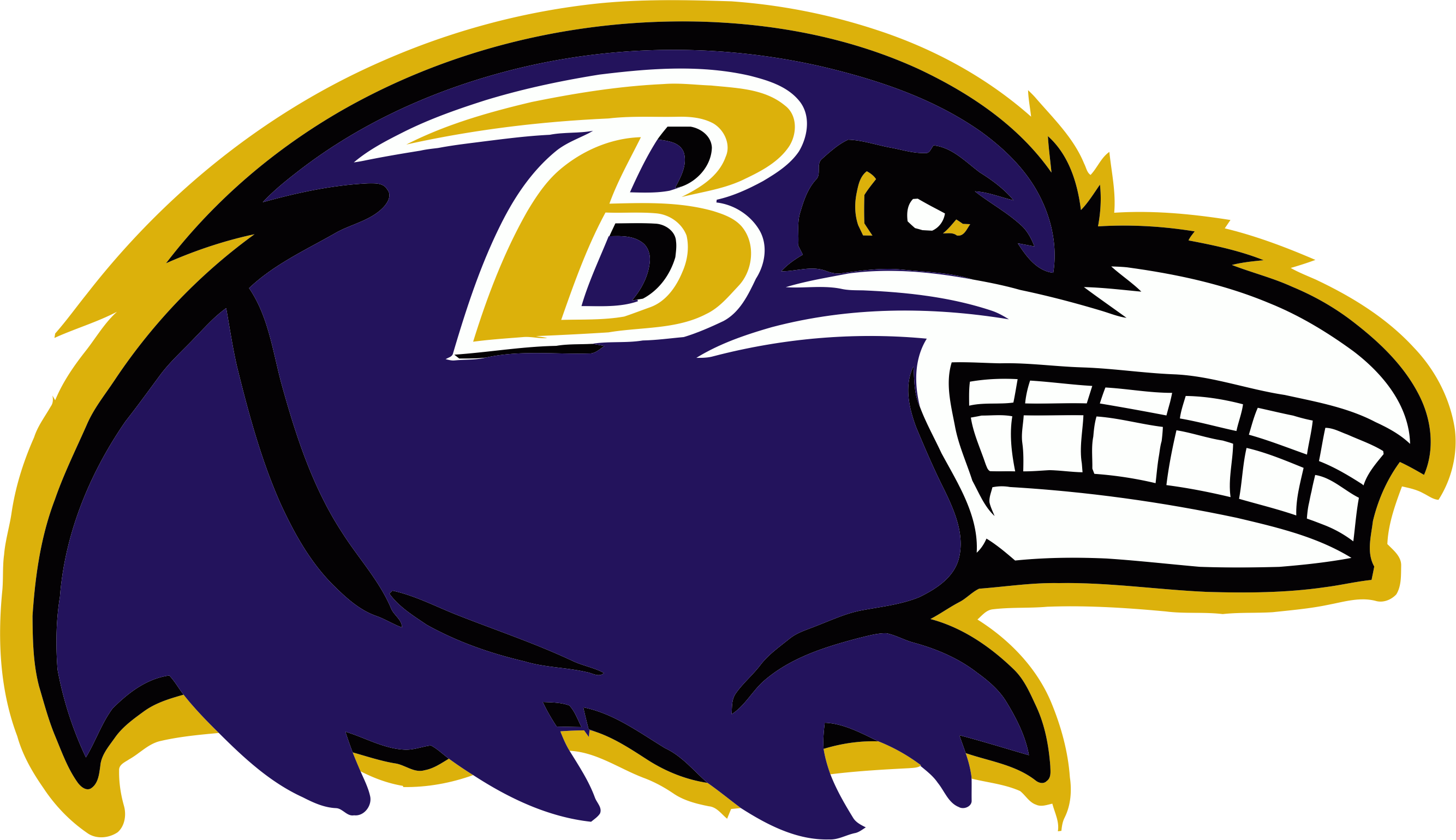 Baltimore Ravens Steroids Logo DIY iron on transfer (heat transfer)